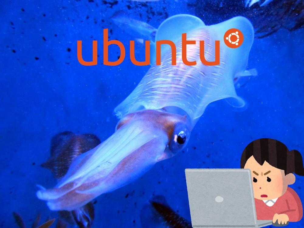 Squidによるプロキシサーバー構築手順【Ubuntu】