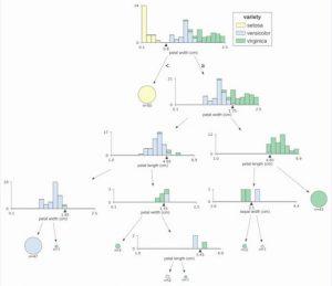 dtreevizをインストールして決定木を可視化する【Python】 | ジコログ