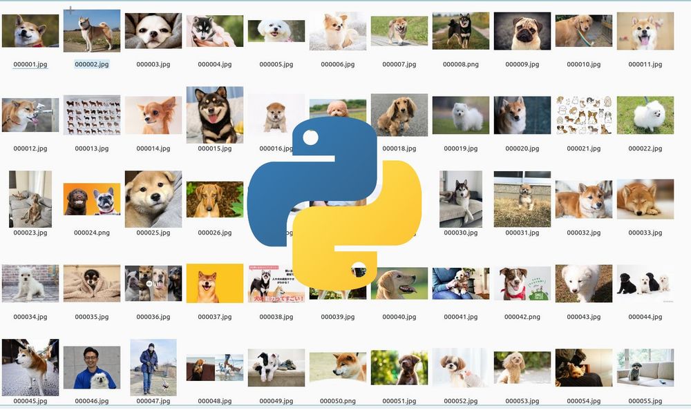 【Python】画像の一括ダウンロードができるicrawlerのインストール
